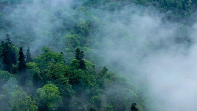 湖边无人机的悲剧：遭遇高空飞撞与面容受损